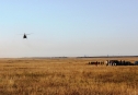 Практические занятия по десантированию в 36 ДШБр. На полевой аэродром прибыл Ми-17.
