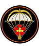 Военнослужащие 24-й бригады спецназа десантировались из вертолетов в ходе учения