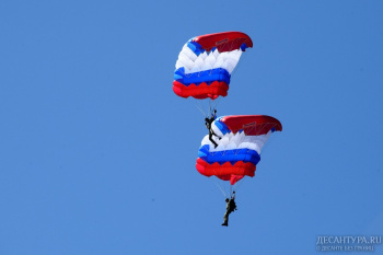 Команда ЗВО по парашютному спорту продемонстрировала элементы воздушной акробатики на чемпионате в Иваново