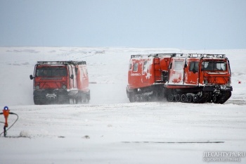 Специалисты ВДВ России выявили в Арктике опасные для десантирования льдины