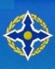 Казахстанские миротворцы примут участие в совместном учении "Нерушимое братство-2013"