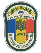 После десяти лет бегства властям Молдавии сдался дезертир